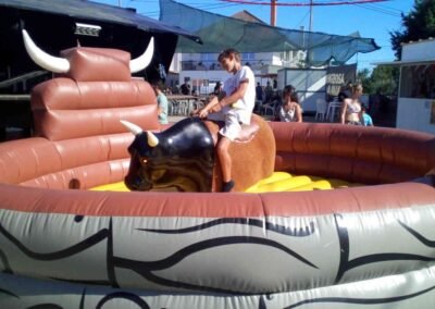 Mechanical bull